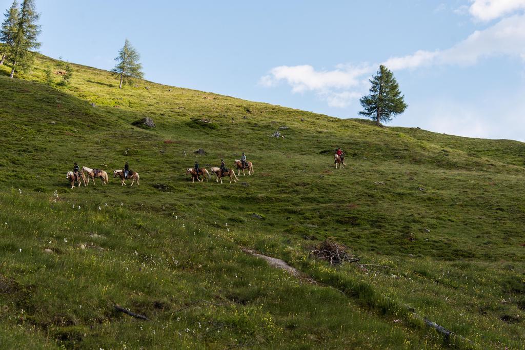Landhaus Alpenrose - Feriendomizile Pichler Хайлигенблут Экстерьер фото